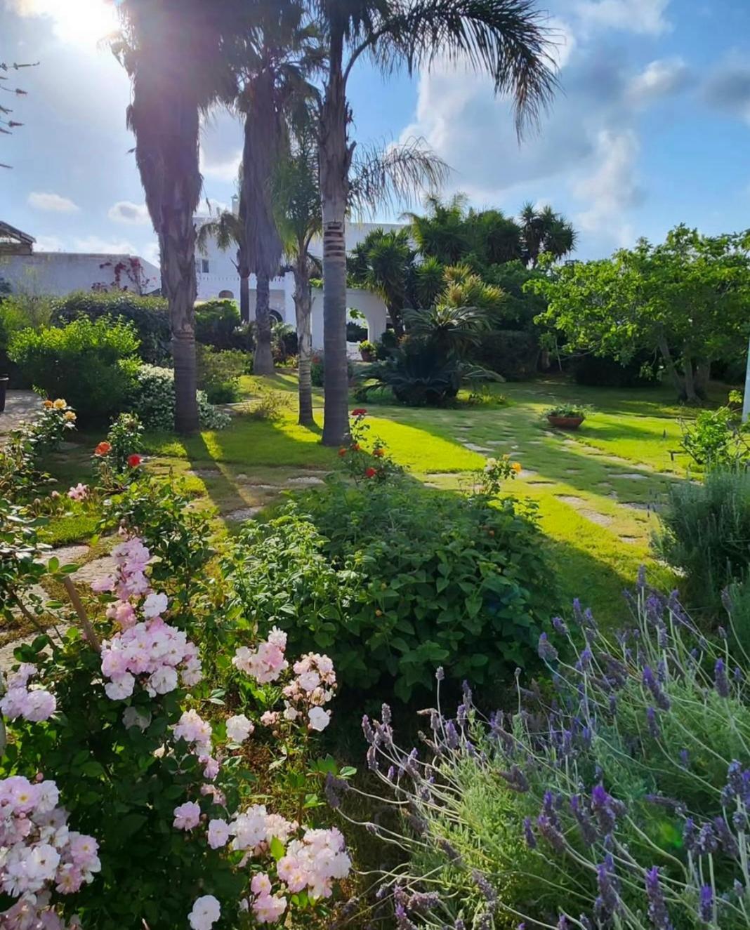 Bed and Breakfast Masseria Boezio Ostuni Торре-Санта-Сабина Экстерьер фото